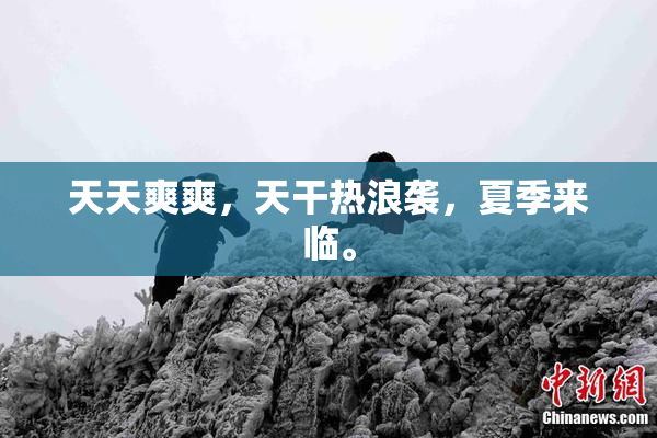 天天爽爽，天干热浪袭，夏季来临。