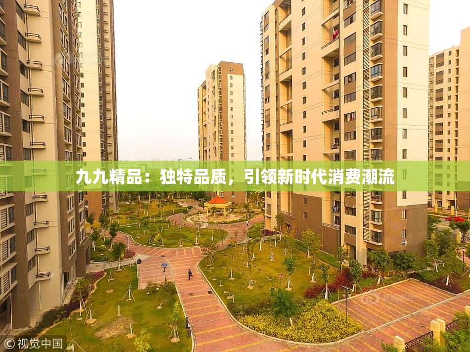 九九精品：独特品质，引领新时代消费潮流