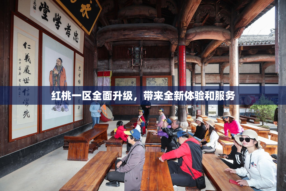 红桃一区全面升级，带来全新体验和服务