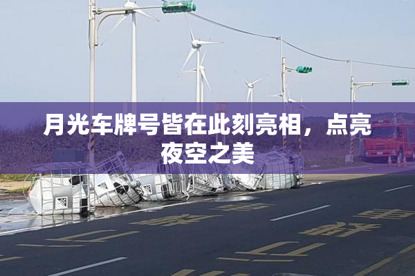 月光车牌号皆在此刻亮相，点亮夜空之美