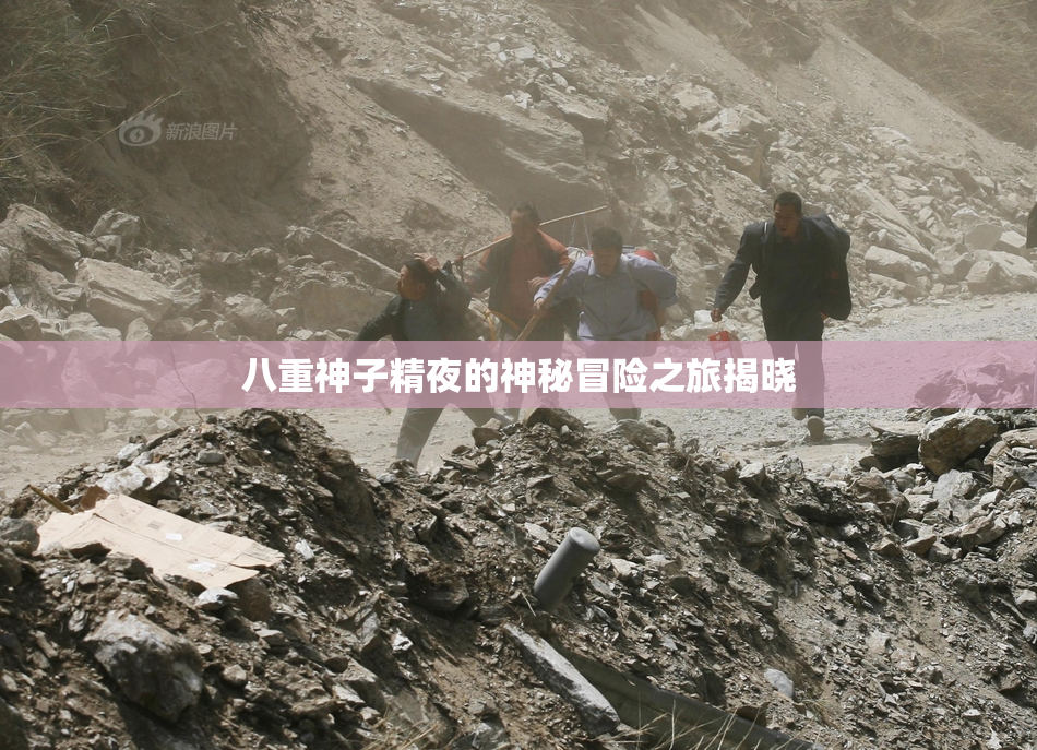 八重神子精夜的神秘冒险之旅揭晓