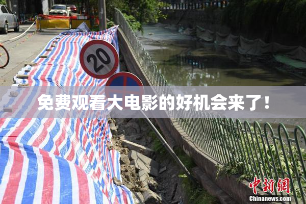 免费观看大电影的好机会来了！