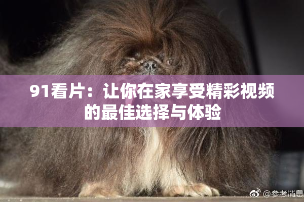 91看片：让你在家享受精彩视频的最佳选择与体验