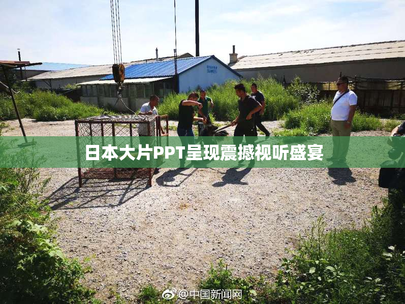 日本大片PPT呈现震撼视听盛宴