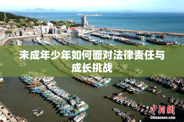 未成年少年如何面对法律责任与成长挑战