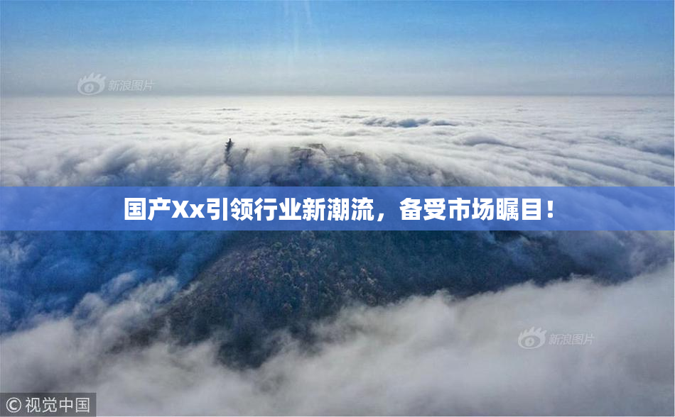 国产Xx引领行业新潮流，备受市场瞩目！