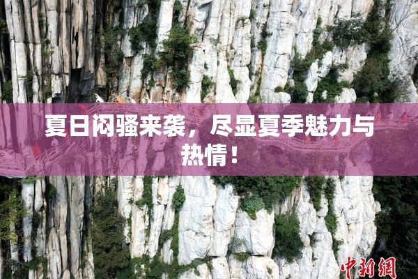 夏日闷骚来袭，尽显夏季魅力与热情！