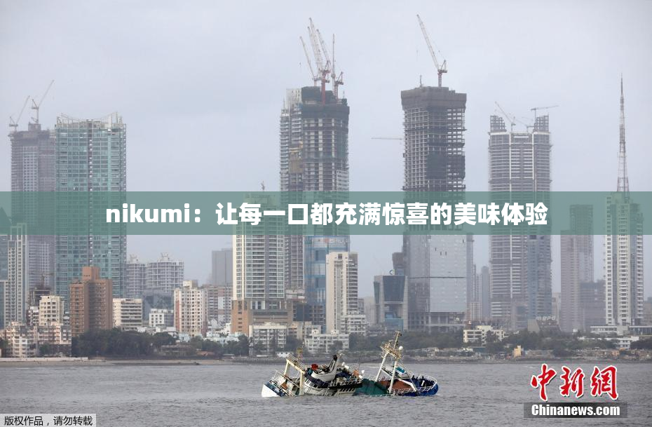 nikumi：让每一口都充满惊喜的美味体验