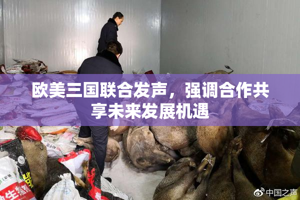 欧美三国联合发声，强调合作共享未来发展机遇