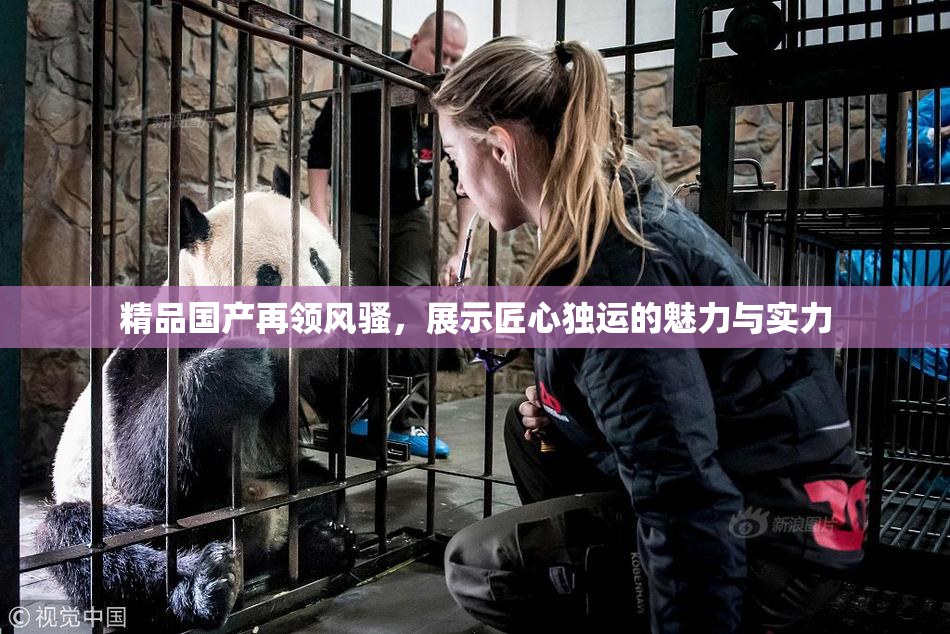 精品国产再领风骚，展示匠心独运的魅力与实力
