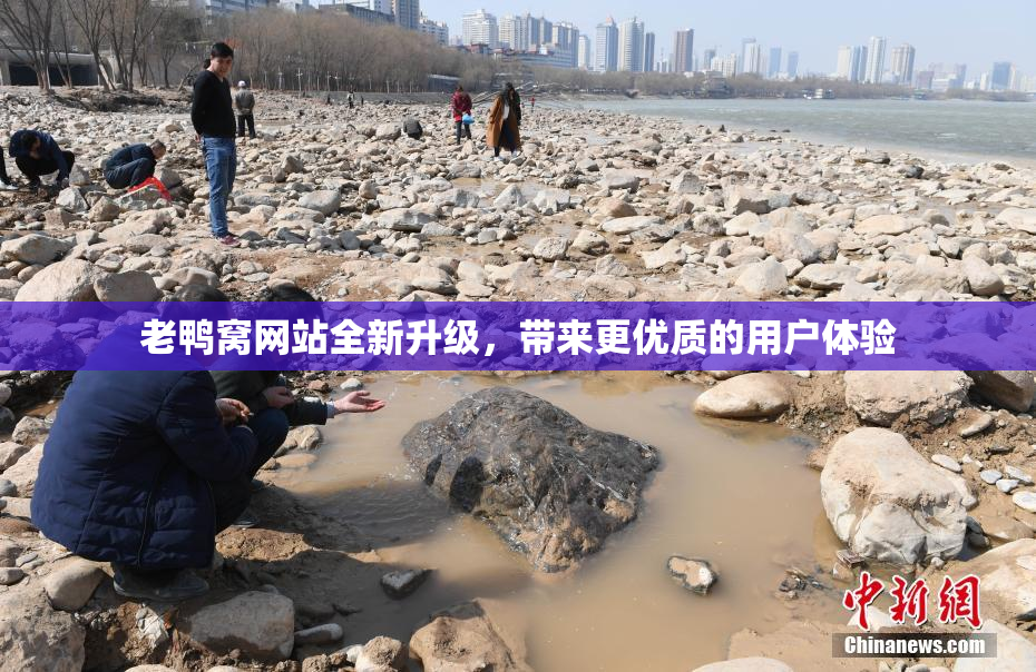 老鸭窝网站全新升级，带来更优质的用户体验