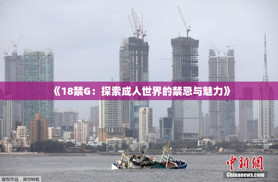 《18禁G：探索成人世界的禁忌与魅力》