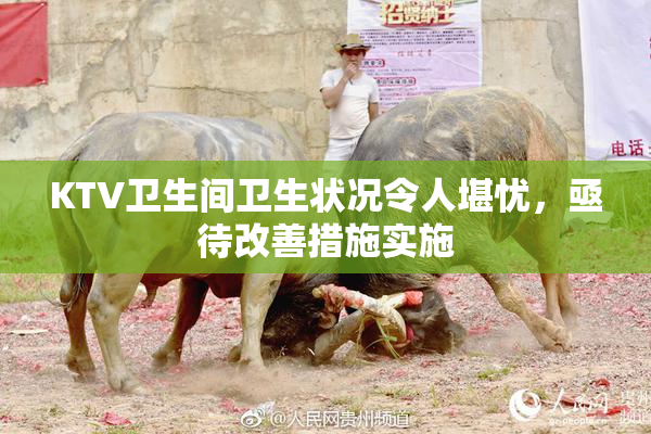 KTV卫生间卫生状况令人堪忧，亟待改善措施实施