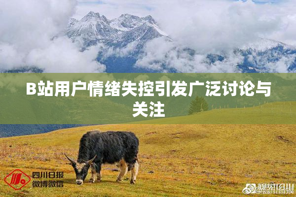 B站用户情绪失控引发广泛讨论与关注