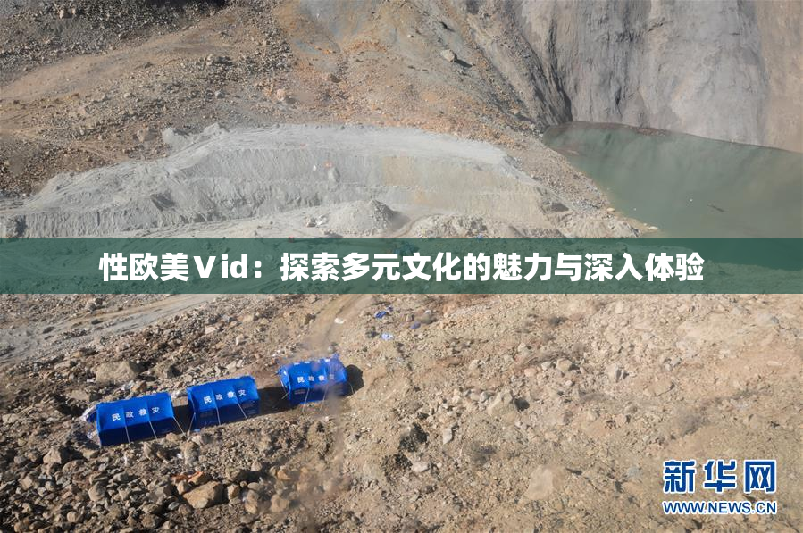 性欧美Ⅴid：探索多元文化的魅力与深入体验