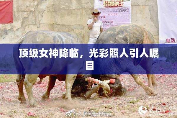 顶级女神降临，光彩照人引人瞩目