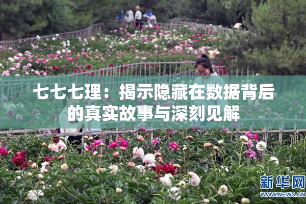 七七七理：揭示隐藏在数据背后的真实故事与深刻见解