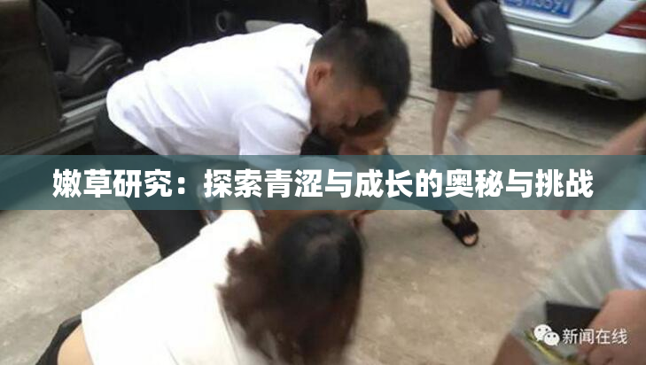 嫩草研究：探索青涩与成长的奥秘与挑战