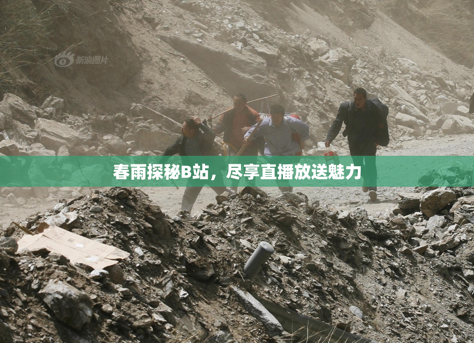 春雨探秘B站，尽享直播放送魅力