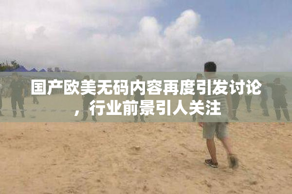 国产欧美无码内容再度引发讨论，行业前景引人关注