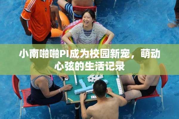 小南啪啪PI成为校园新宠，萌动心弦的生活记录