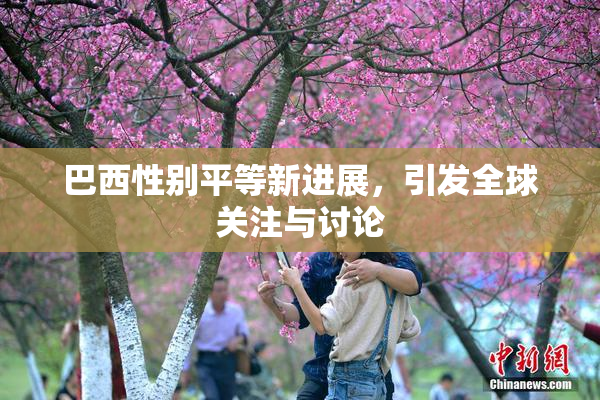 巴西性别平等新进展，引发全球关注与讨论