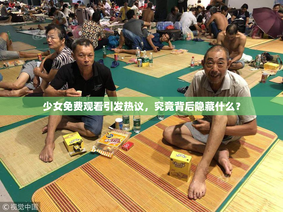 少女免费观看引发热议，究竟背后隐藏什么？