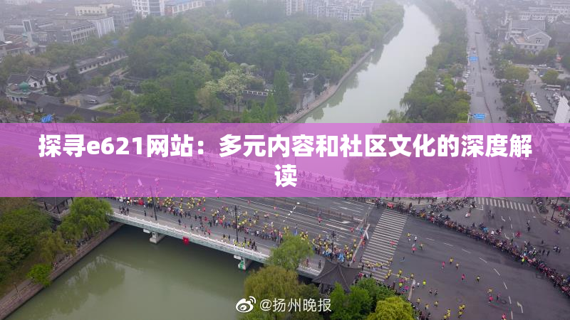 探寻e621网站：多元内容和社区文化的深度解读