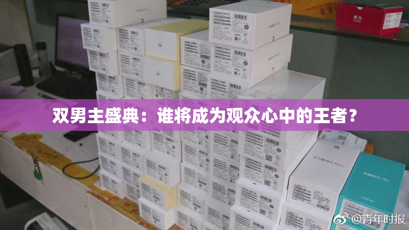 双男主盛典：谁将成为观众心中的王者？