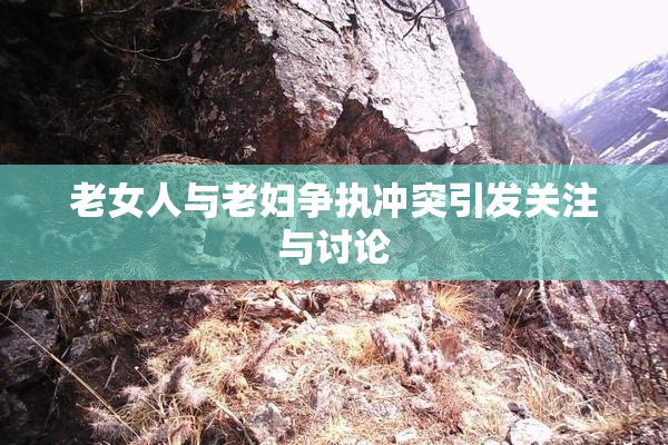 老女人与老妇争执冲突引发关注与讨论