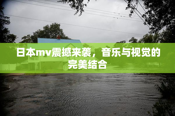 日本mv震撼来袭，音乐与视觉的完美结合