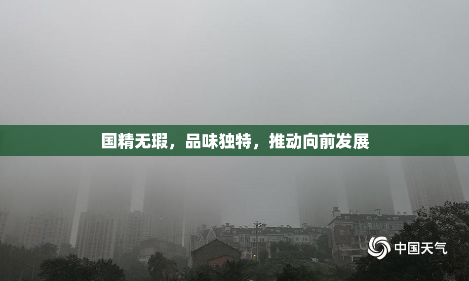国精无瑕，品味独特，推动向前发展
