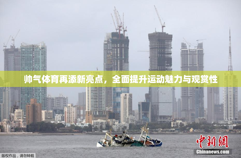 帅气体育再添新亮点，全面提升运动魅力与观赏性