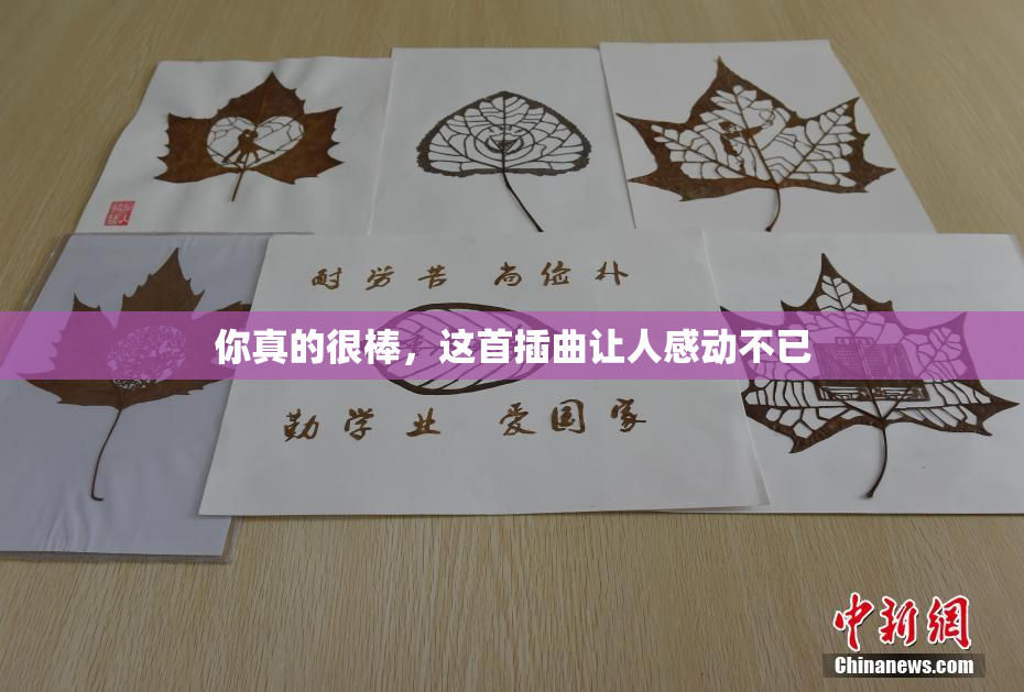 你真的很棒，这首插曲让人感动不已