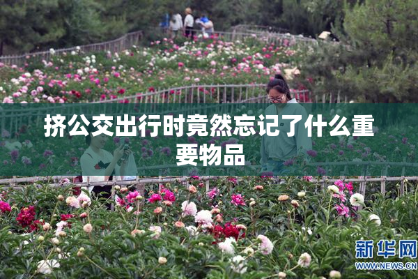 挤公交出行时竟然忘记了什么重要物品