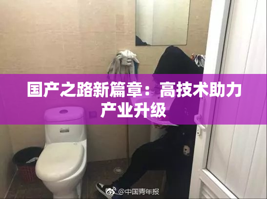国产之路新篇章：高技术助力产业升级