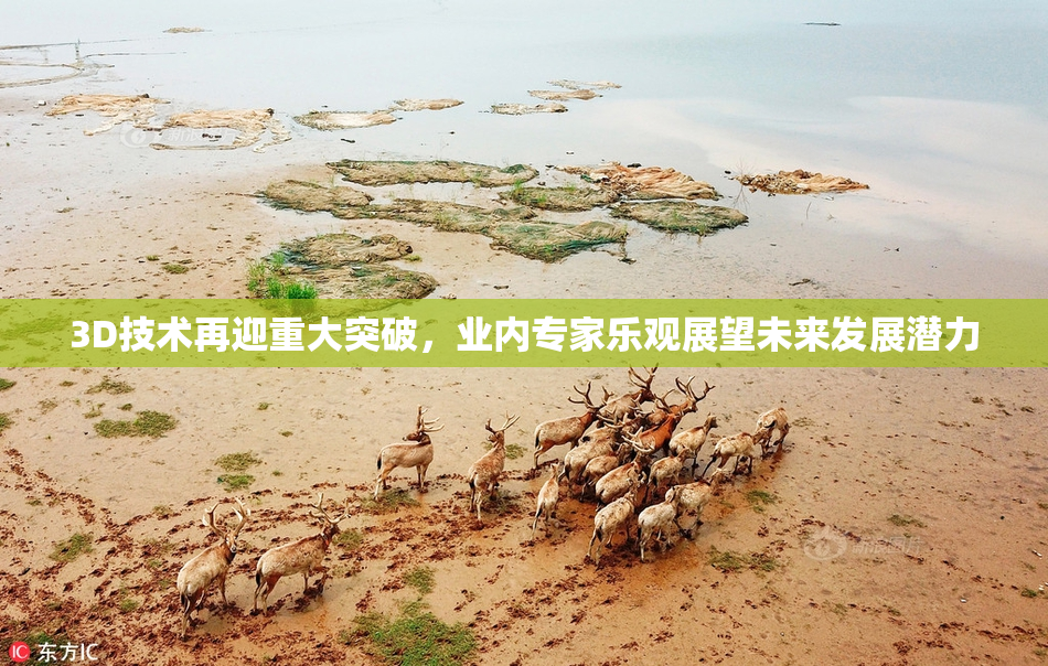 3D技术再迎重大突破，业内专家乐观展望未来发展潜力