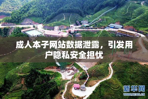 成人本子网站数据泄露，引发用户隐私安全担忧