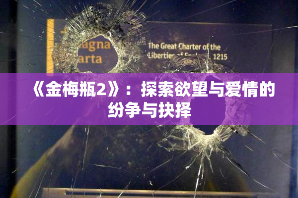 《金梅瓶2》：探索欲望与爱情的纷争与抉择