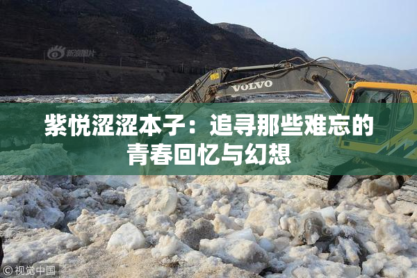 紫悦涩涩本子：追寻那些难忘的青春回忆与幻想