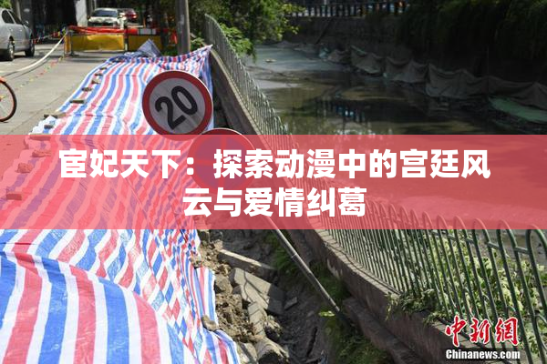 宦妃天下：探索动漫中的宫廷风云与爱情纠葛