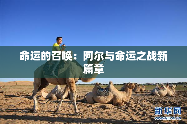 命运的召唤：阿尔与命运之战新篇章