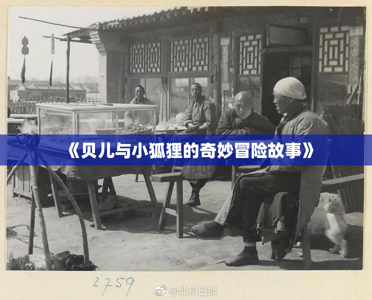 《贝儿与小狐狸的奇妙冒险故事》