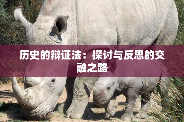 历史的辩证法：探讨与反思的交融之路