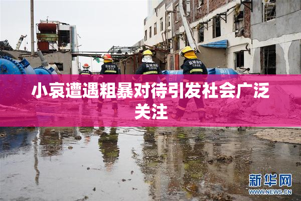 小哀遭遇粗暴对待引发社会广泛关注