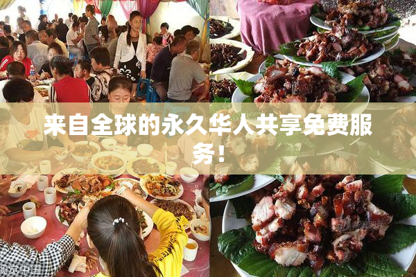 来自全球的永久华人共享免费服务！