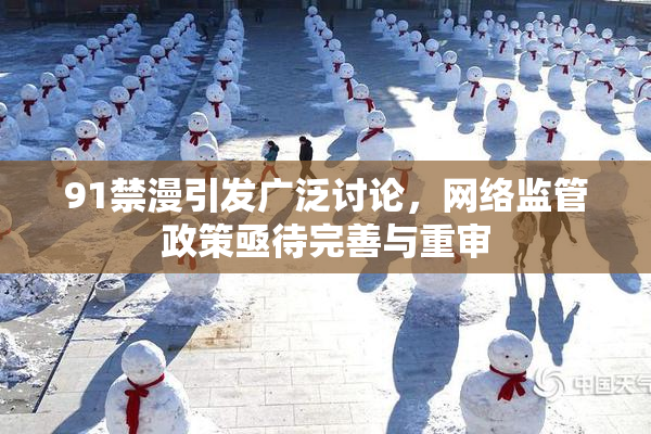 91禁漫引发广泛讨论，网络监管政策亟待完善与重审