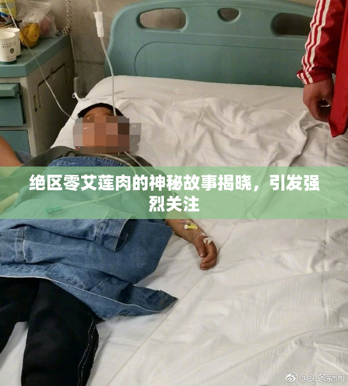 绝区零艾莲肉的神秘故事揭晓，引发强烈关注