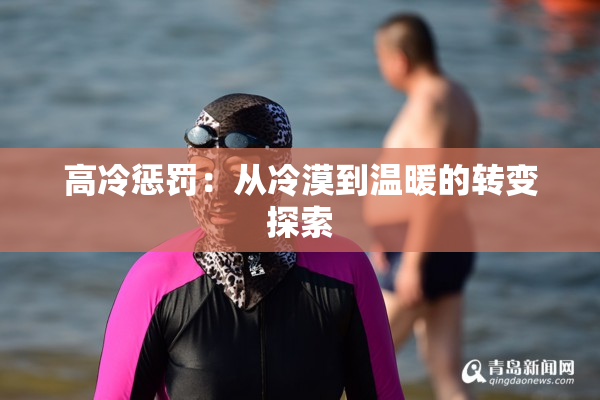 高冷惩罚：从冷漠到温暖的转变探索