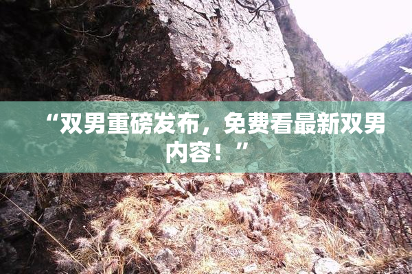 “双男重磅发布，免费看最新双男内容！”